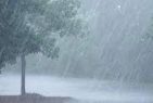 IMD alert: Heavy to very heavy rain likely in Kerala and Coastal Karnataka Gujarat, Maharashtra, and Goa